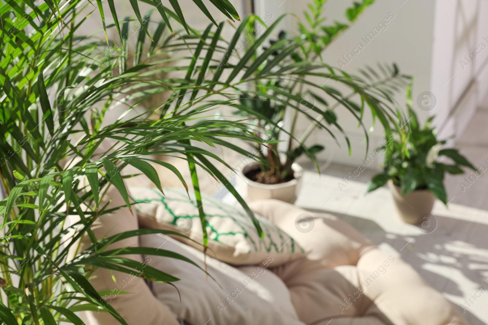 Photo of Cozy place with armchair pillow and potted plants at home