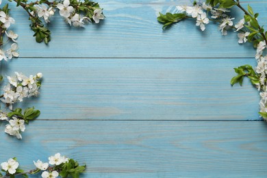 Photo of Cherry tree branches with beautiful blossoms on light blue wooden table, flat lay. Space for text