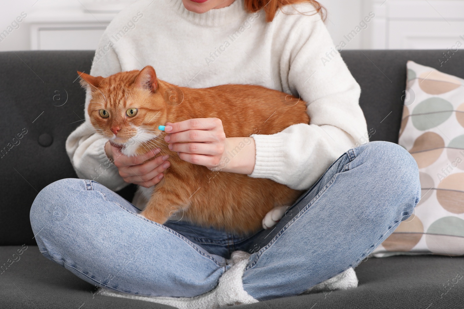 Photo of Woman giving pill to cute cat on sofa indoors, closeup