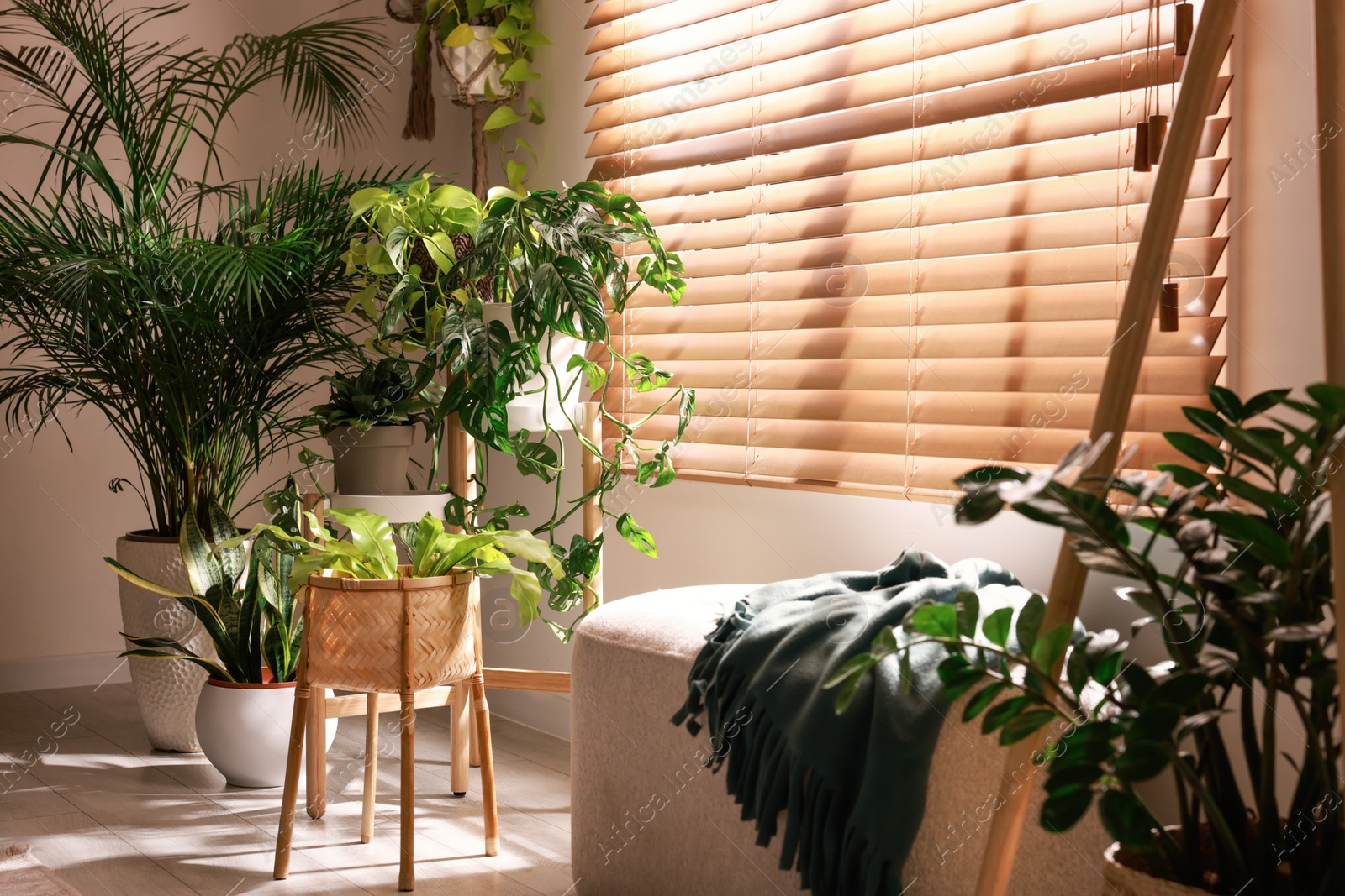 Photo of Cozy room interior with stylish furniture and beautiful houseplants near window