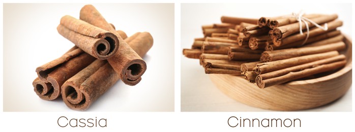 Image of Collage with photos of cassia and ceylon cinnamon sticks on white background. Banner design