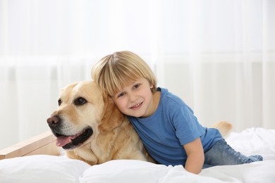 Cute little child with Golden Retriever on bed at home. Adorable pet