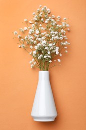 Photo of Beautiful gypsophila flowers in vase on orange background, top view