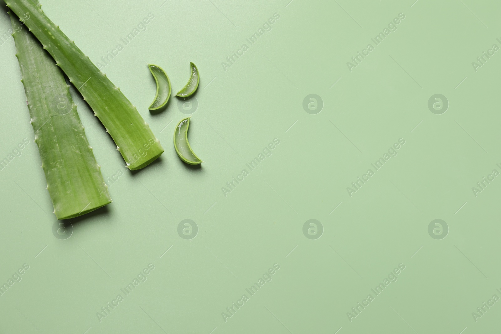 Photo of Cut aloe vera leaves on light green background, flat lay. Space for text
