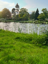 Photo of Picturesque view of beautiful green grass and canal on sunny day