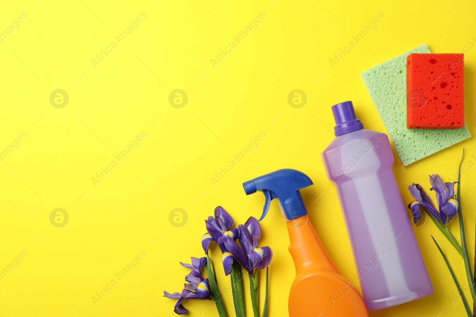 Photo of Composition with spring flowers and cleaning supplies on yellow background, flat lay. Space for text