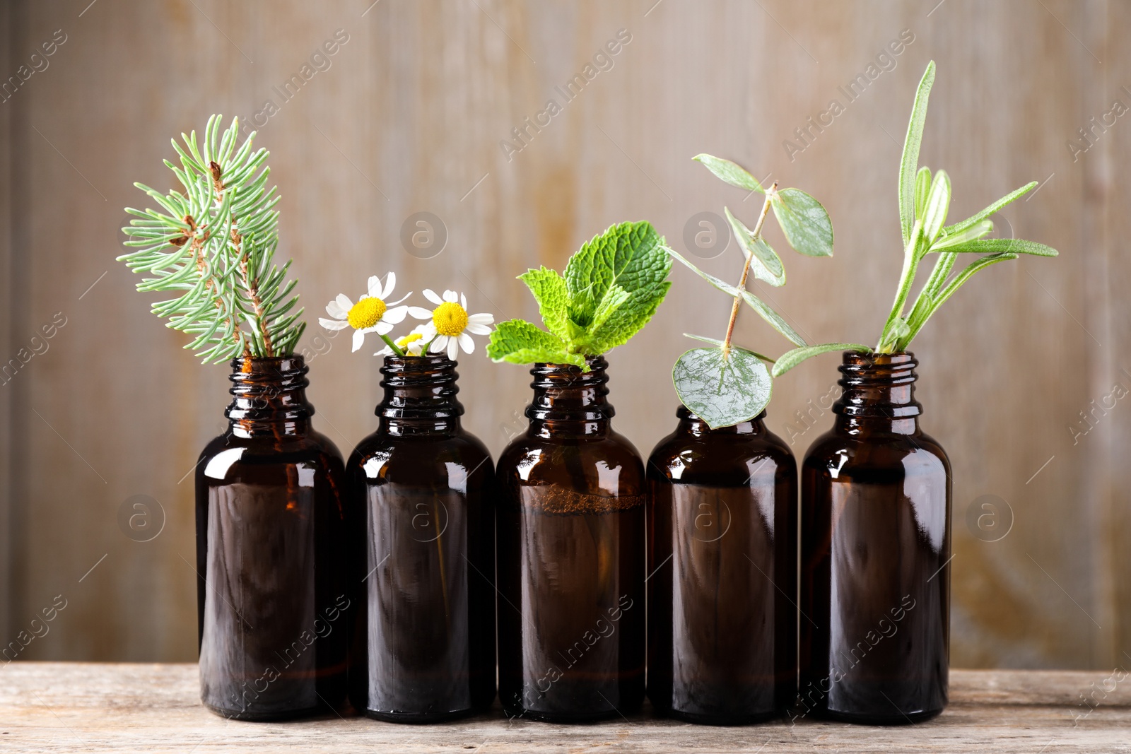 Photo of Glass bottles of different essential oils with plants on table