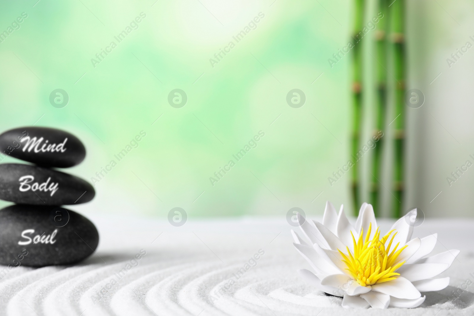 Photo of Stones with words Mind, Body, Soul and lotus flower on white sand. Zen garden