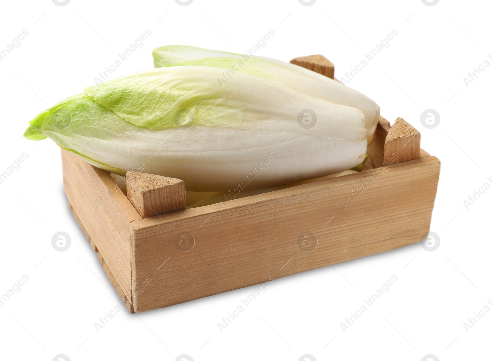 Photo of Raw ripe chicory in wooden crate on white background