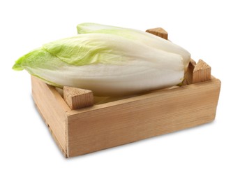 Photo of Raw ripe chicory in wooden crate on white background