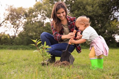 Photo of Mother and her baby daughter planting tree together in garden