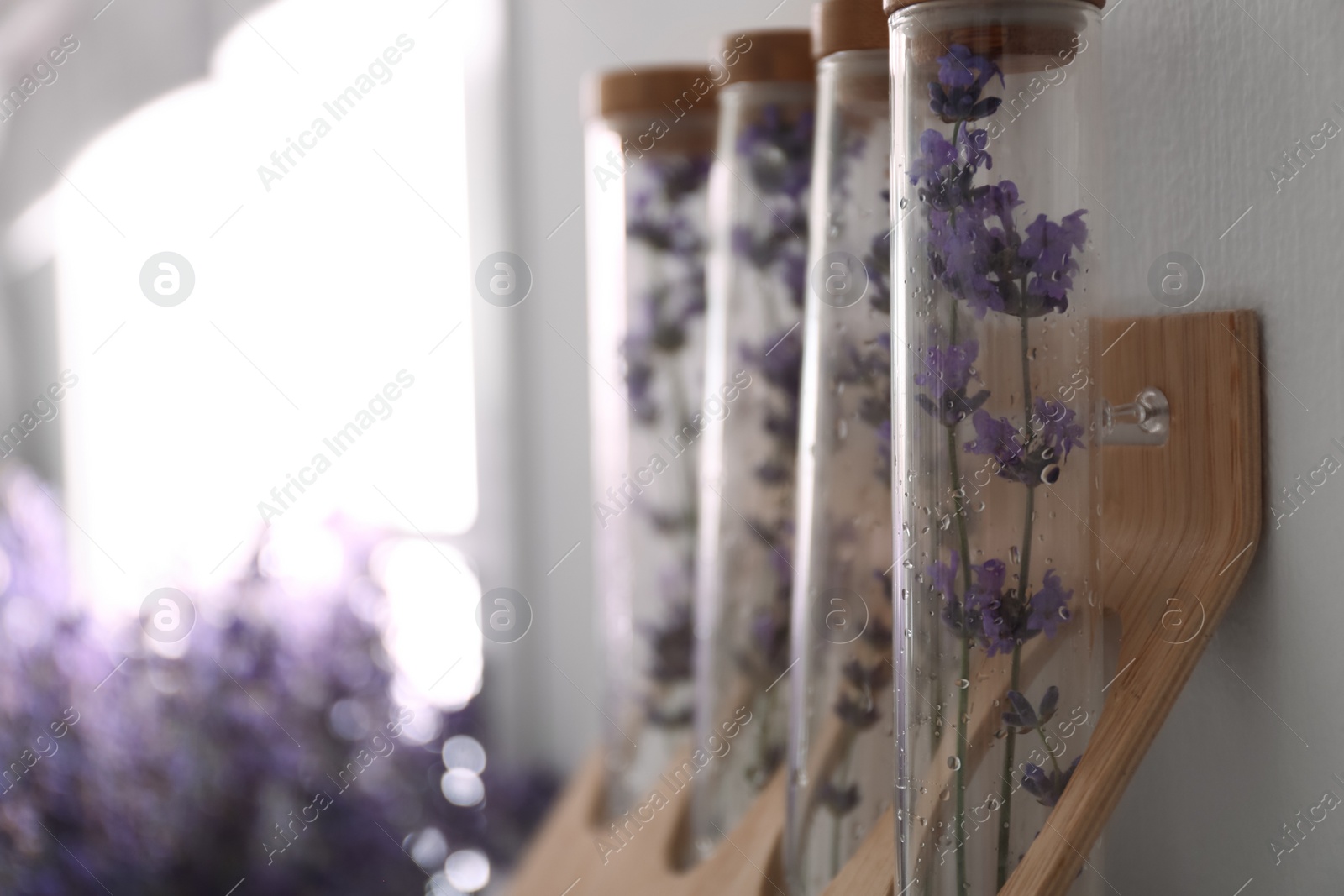 Photo of Beautiful lavender flowers on wooden shelf indoors, closeup. Space for text