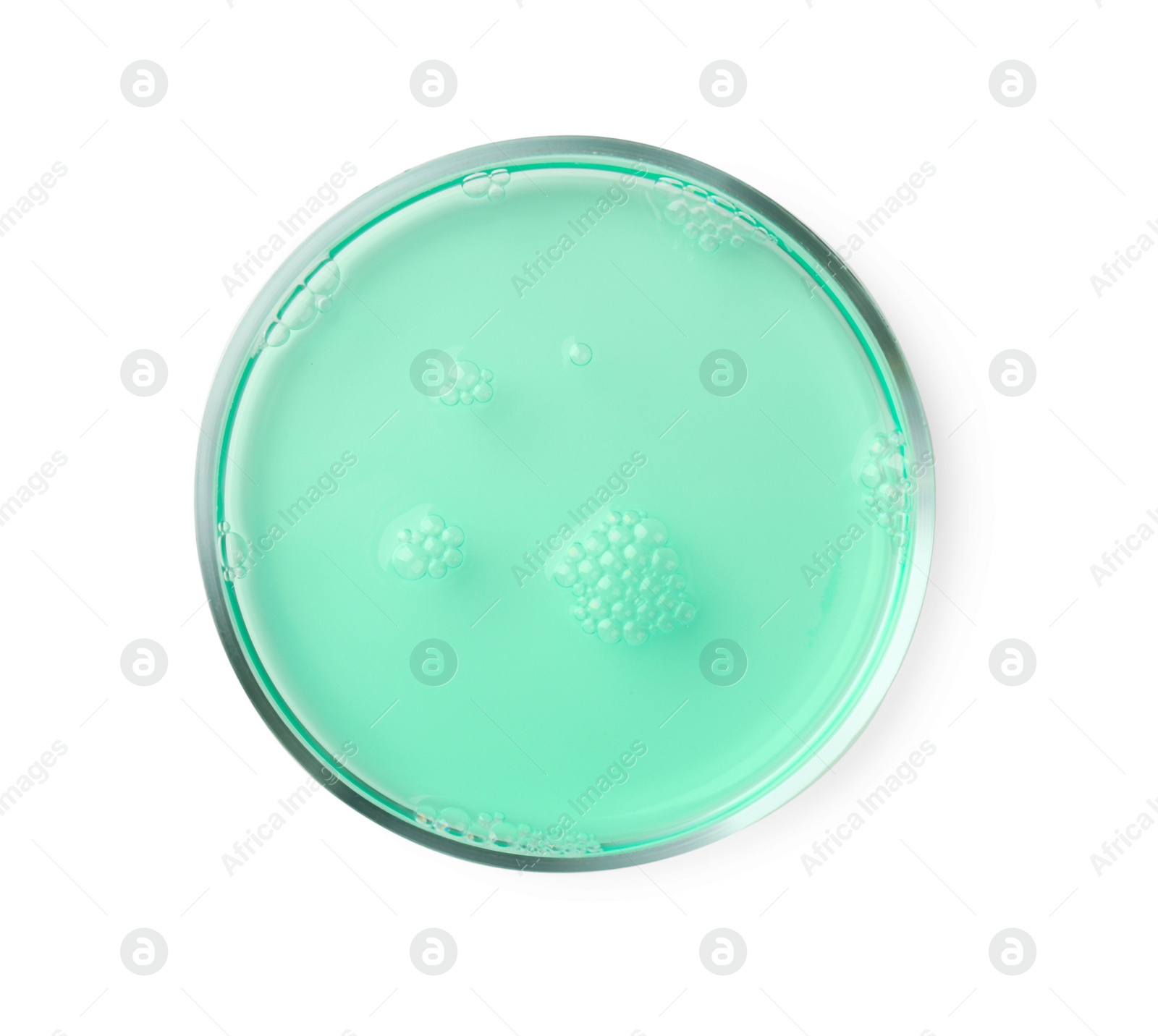 Photo of Petri dish with turquoise liquid sample on white background, top view