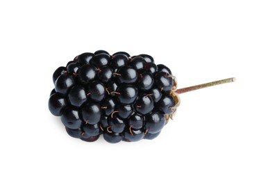 One tasty ripe blackberry isolated on white