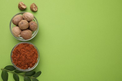 Photo of Nutmeg powder, seeds and branch on light green background, flat lay. Space for text