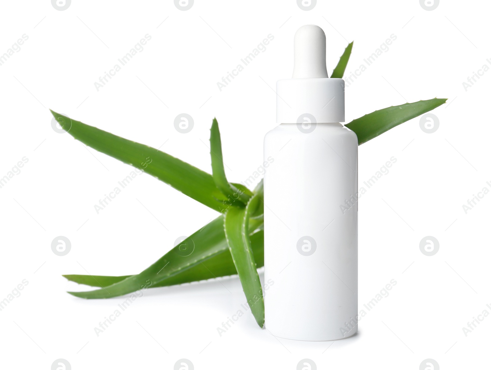 Photo of Bottle with aloe vera extract and fresh leaves on white background