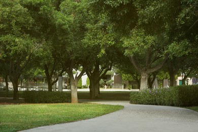 Photo of Beautiful view of green park with pathway
