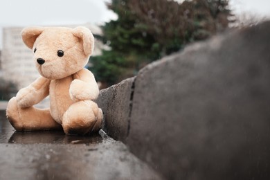 Photo of Lonely teddy bear in puddle on rainy day