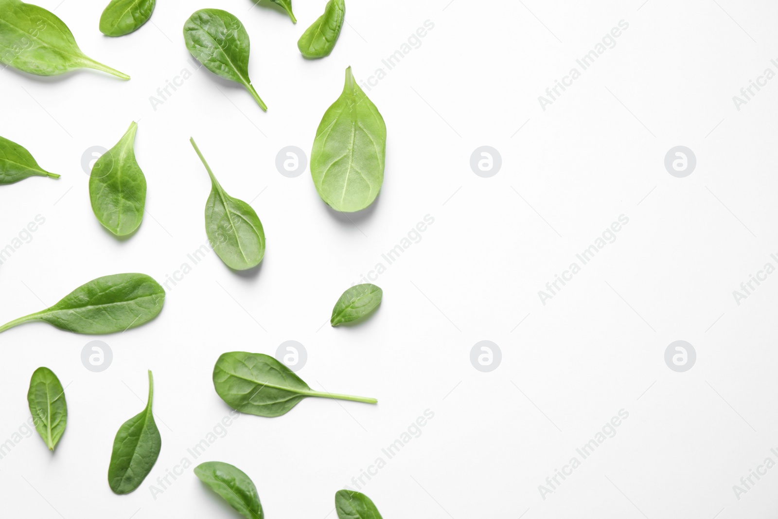 Photo of Fresh green healthy spinach leaves on white background, top view