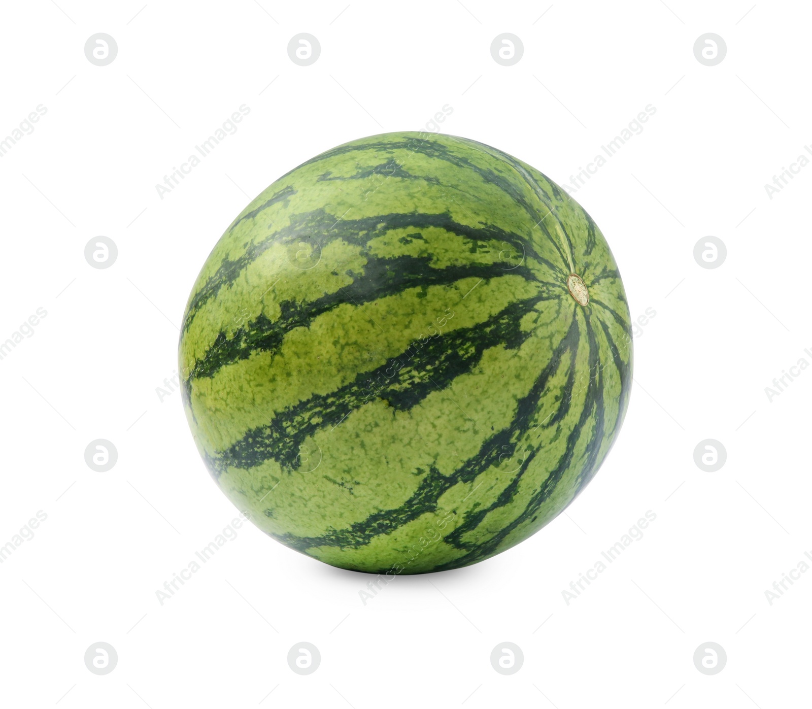 Photo of One whole ripe watermelon isolated on white