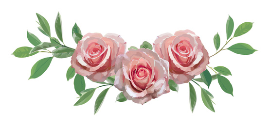 Beautiful roses with green leaves illustration on white background. Stylish design