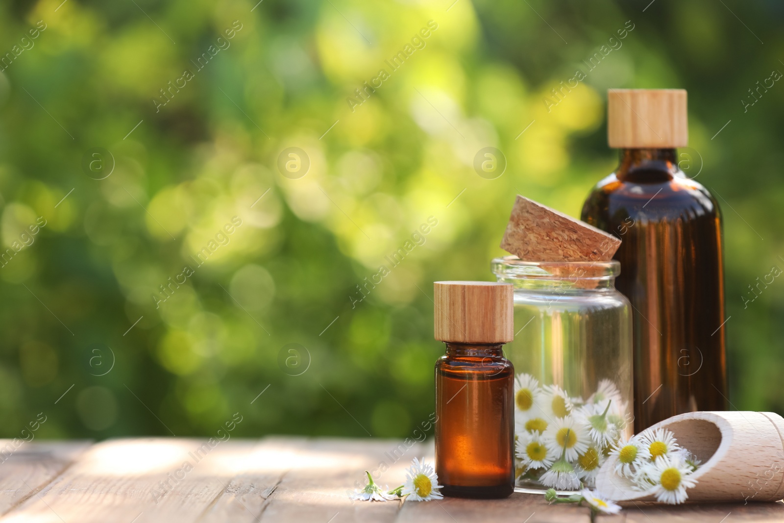 Photo of Bottles of chamomile essential oil and flowers on wooden table, space for text