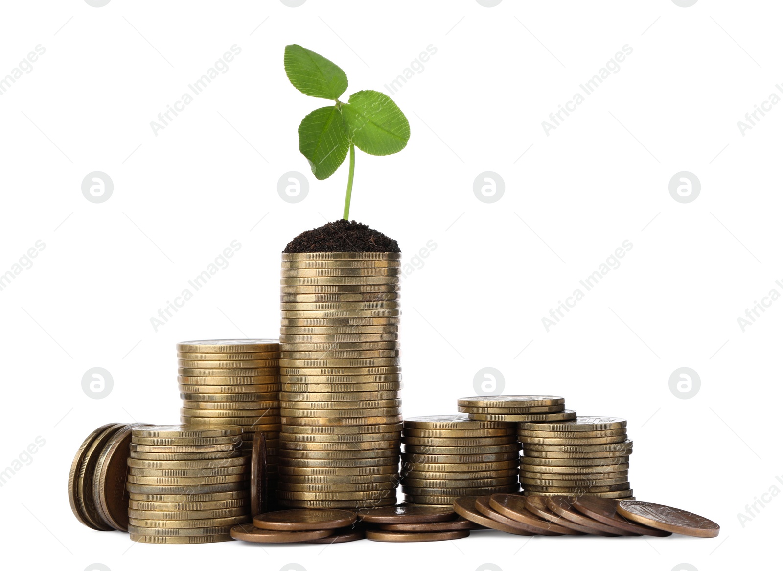 Photo of Stacks of coins with green sprout isolated on white. Investment concept