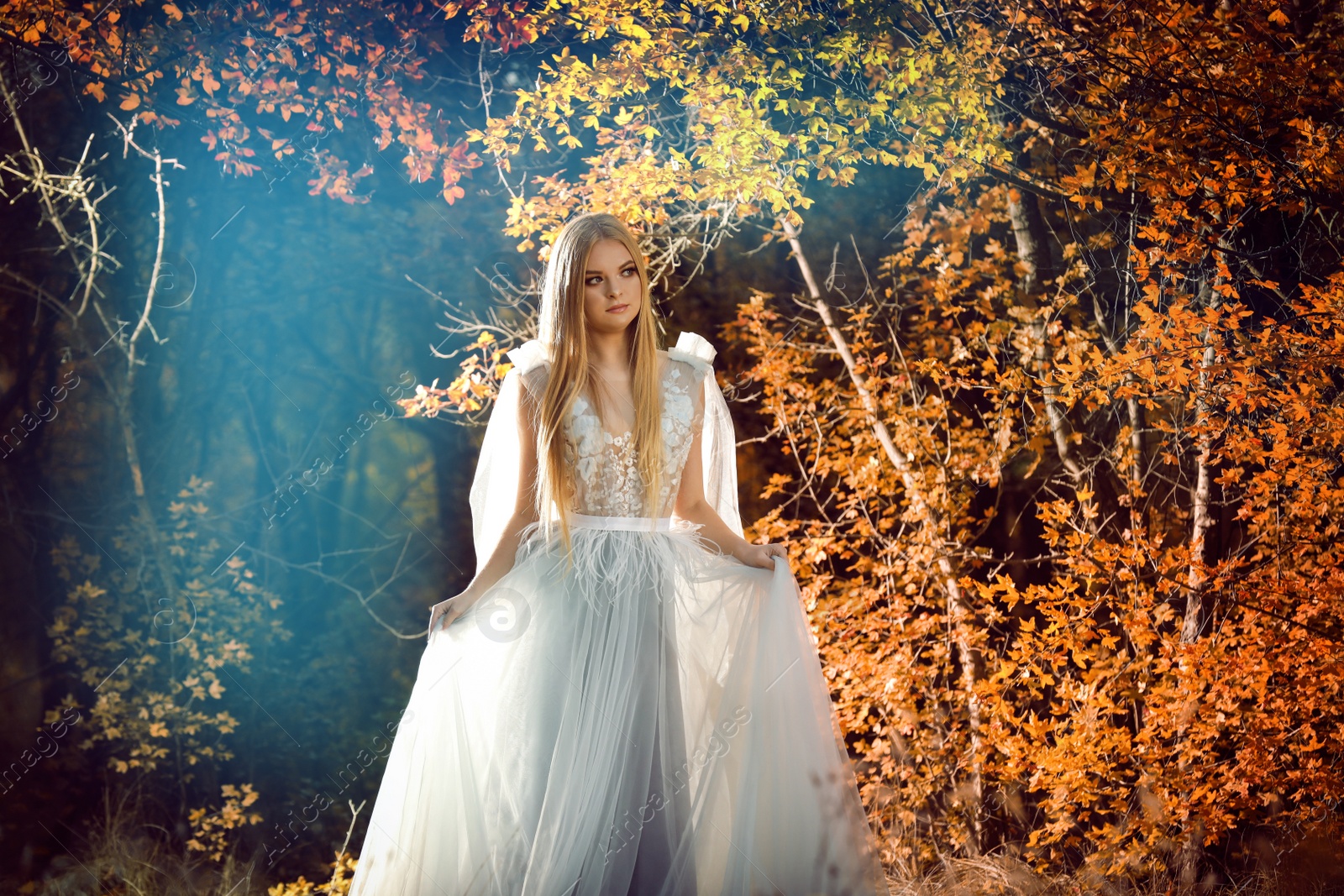 Photo of Beautiful girl wearing fairy dress in autumn forest