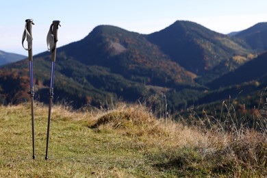 Pair of trekking poles in mountains on sunny day, space for text