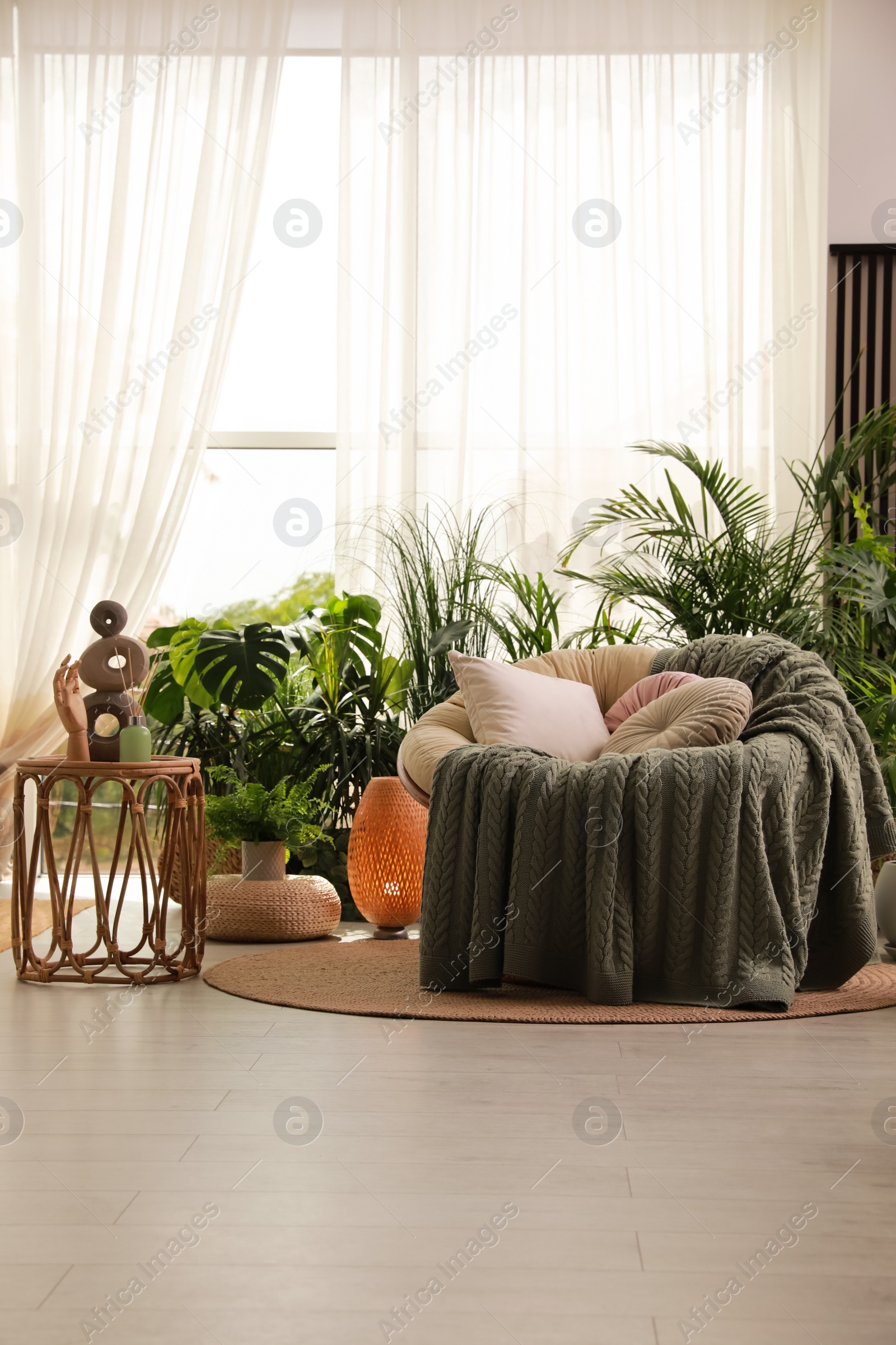 Photo of Indoor terrace interior with soft papasan chair and green plants