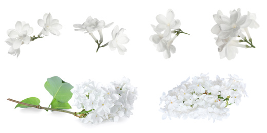 Image of Set of fragrant lilac flowers on white background, banner design 