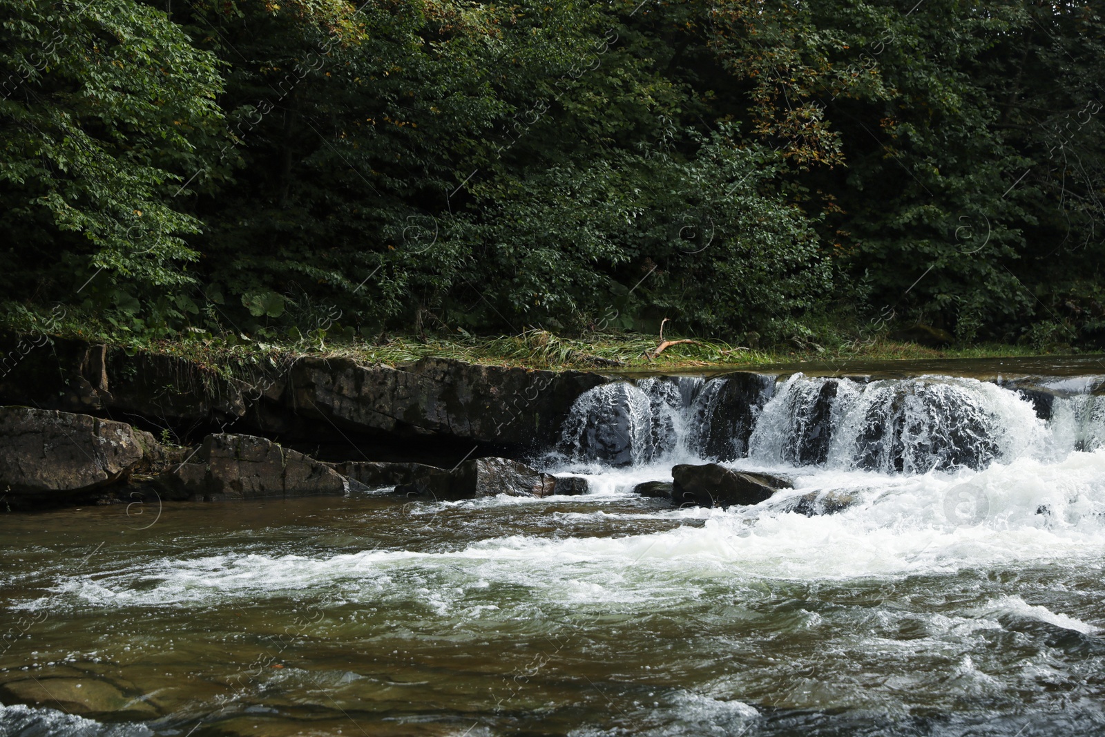 Photo of Picturesque view of beautiful river flowing near forest