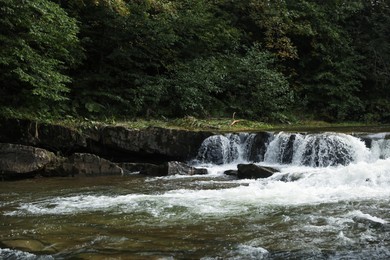 Photo of Picturesque view of beautiful river flowing near forest