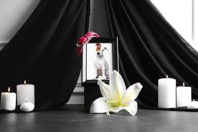 Photo of Frame with picture of dog, collar, burning candles and lily flower on grey table. Pet funeral