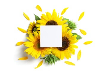 Photo of Beautiful bright sunflowers and card on white background