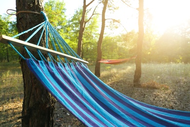 Empty comfortable blue hammock hanging in forest