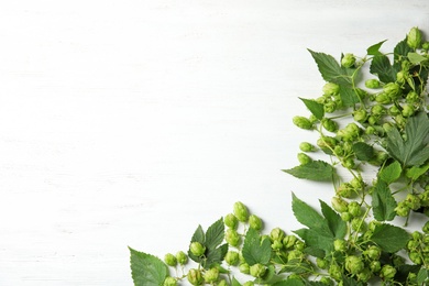 Fresh green hops on white wooden background, top view with space for text. Beer production