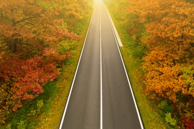 Image of Aerial view of road going through beautiful autumn forest