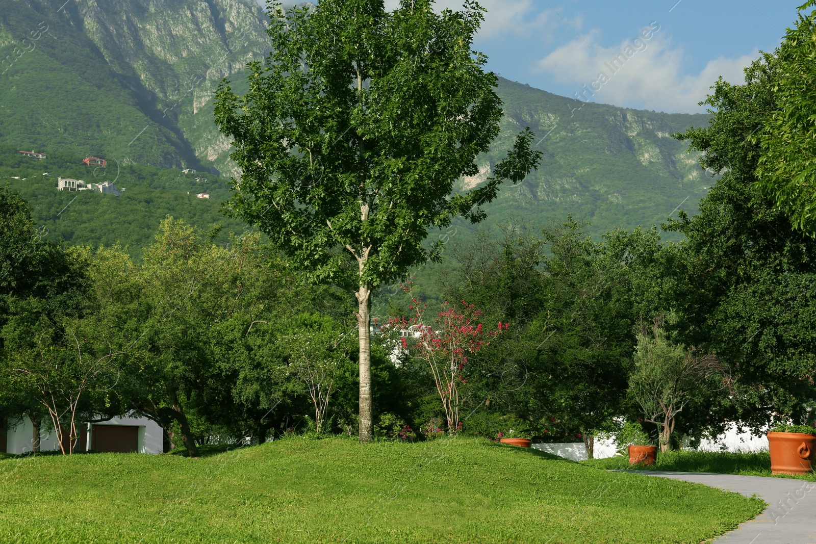 Photo of Beautiful view of park and green mountains on sunny day