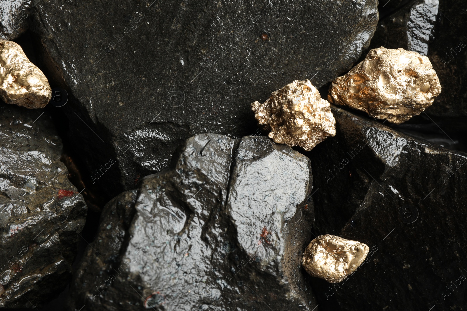 Photo of Shiny gold nuggets on wet stones, flat lay