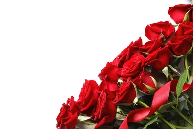 Beautiful red rose flowers on white background, top view