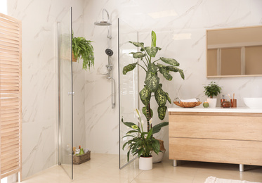 Photo of Interior of modern bathroom with green plants