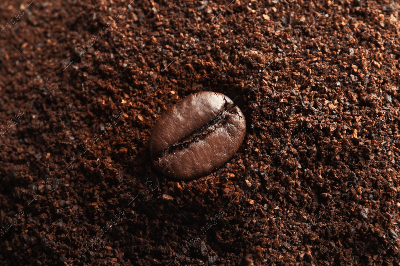 Photo of Fresh coffee grounds and roasted bean, closeup