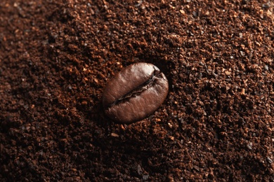 Photo of Fresh coffee grounds and roasted bean, closeup