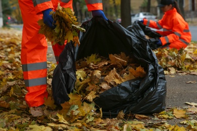Photo of Workers cleaning street from fallen leaves on autumn day