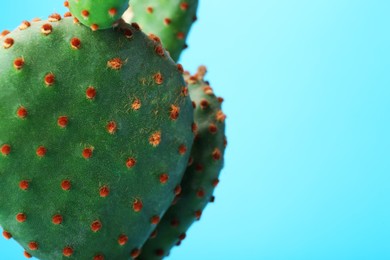 Photo of Beautiful green Opuntia cactus on light blue background, closeup. Space for text
