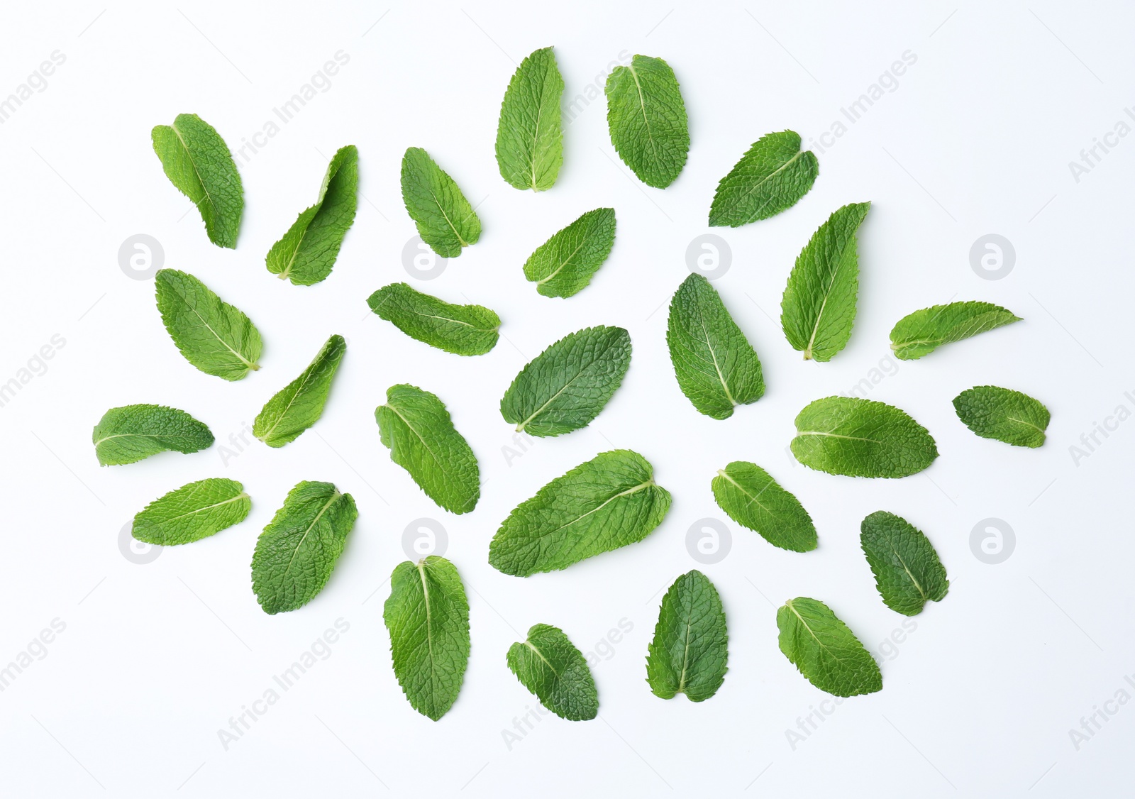 Photo of Flat lay composition with fresh green mint leaves on white background