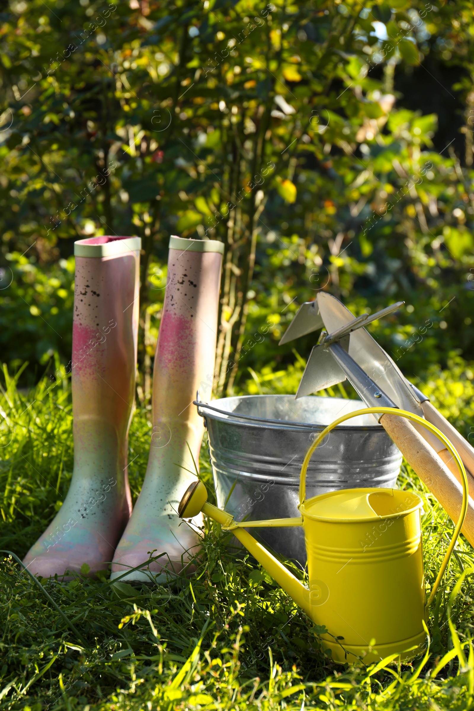 Photo of Watering can, gardening tools and rubber boots on green grass outdoors