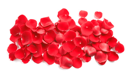 Photo of Pile of red rose petals on white background, top view