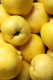 Photo of Fresh ripe organic quinces as background, closeup